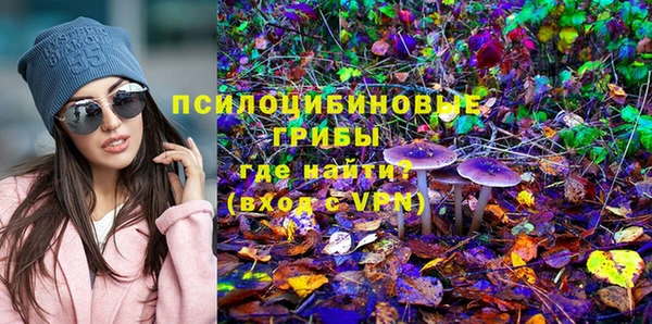 apvp Липки