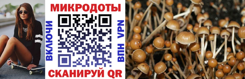 Псилоцибиновые грибы Psilocybine cubensis  цена   Суджа 